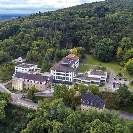 Kloster Neustadt นอยชตัดท์ อัน แดร์ ไวน์ชตราเซอ ภายนอก รูปภาพ