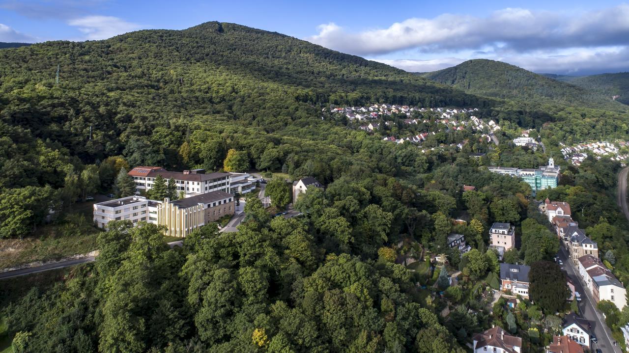Kloster Neustadt นอยชตัดท์ อัน แดร์ ไวน์ชตราเซอ ภายนอก รูปภาพ